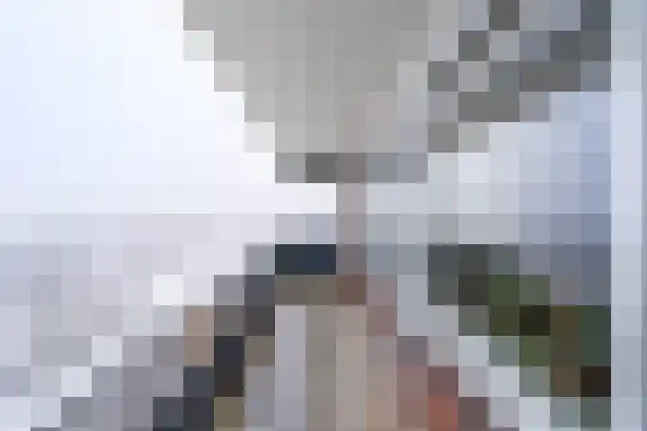 Scheerling 201 Kampen thumbnail 33