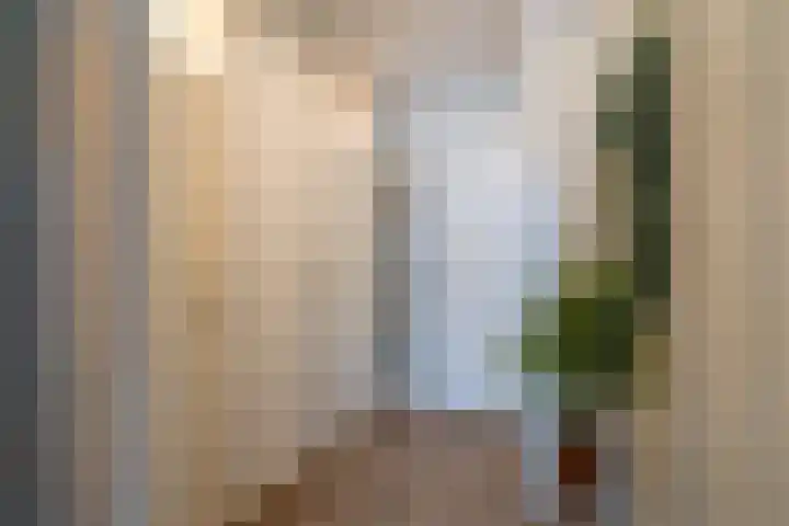 Scheerling 201 Kampen thumbnail 34