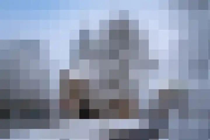 Scheerling 201 Kampen thumbnail 43