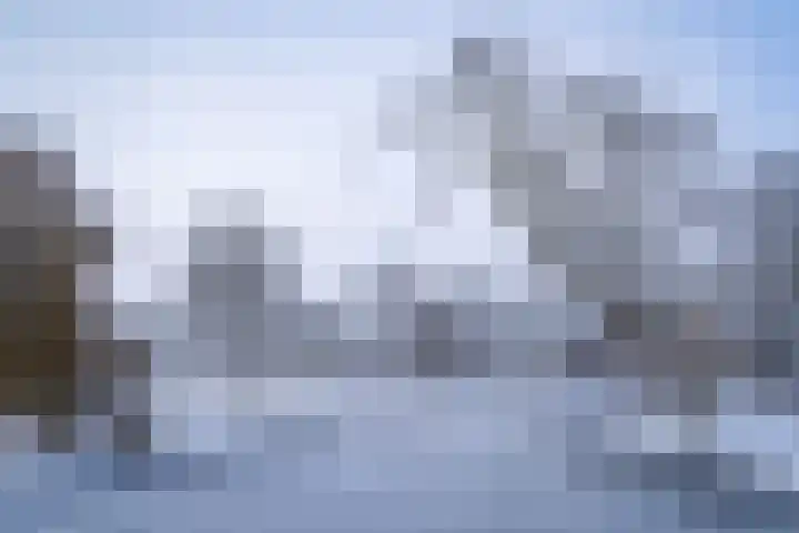 Scheerling 201 Kampen thumbnail 44