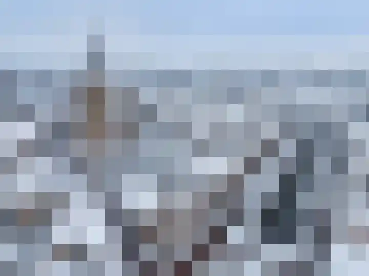 Scheerling 201 Kampen thumbnail 6