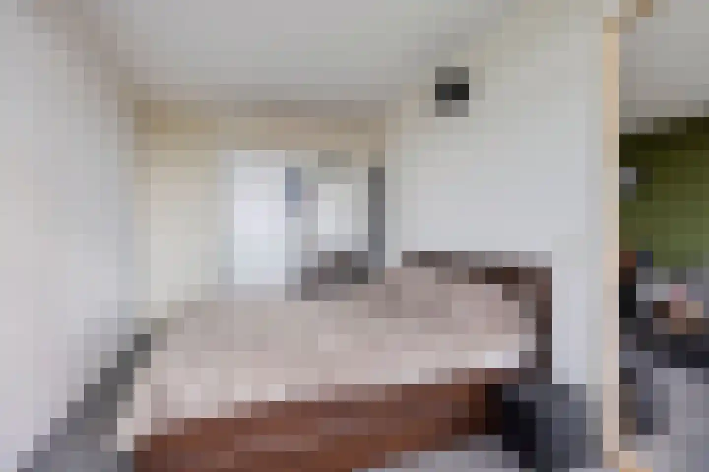 Scheerling 221 Kampen thumbnail 18