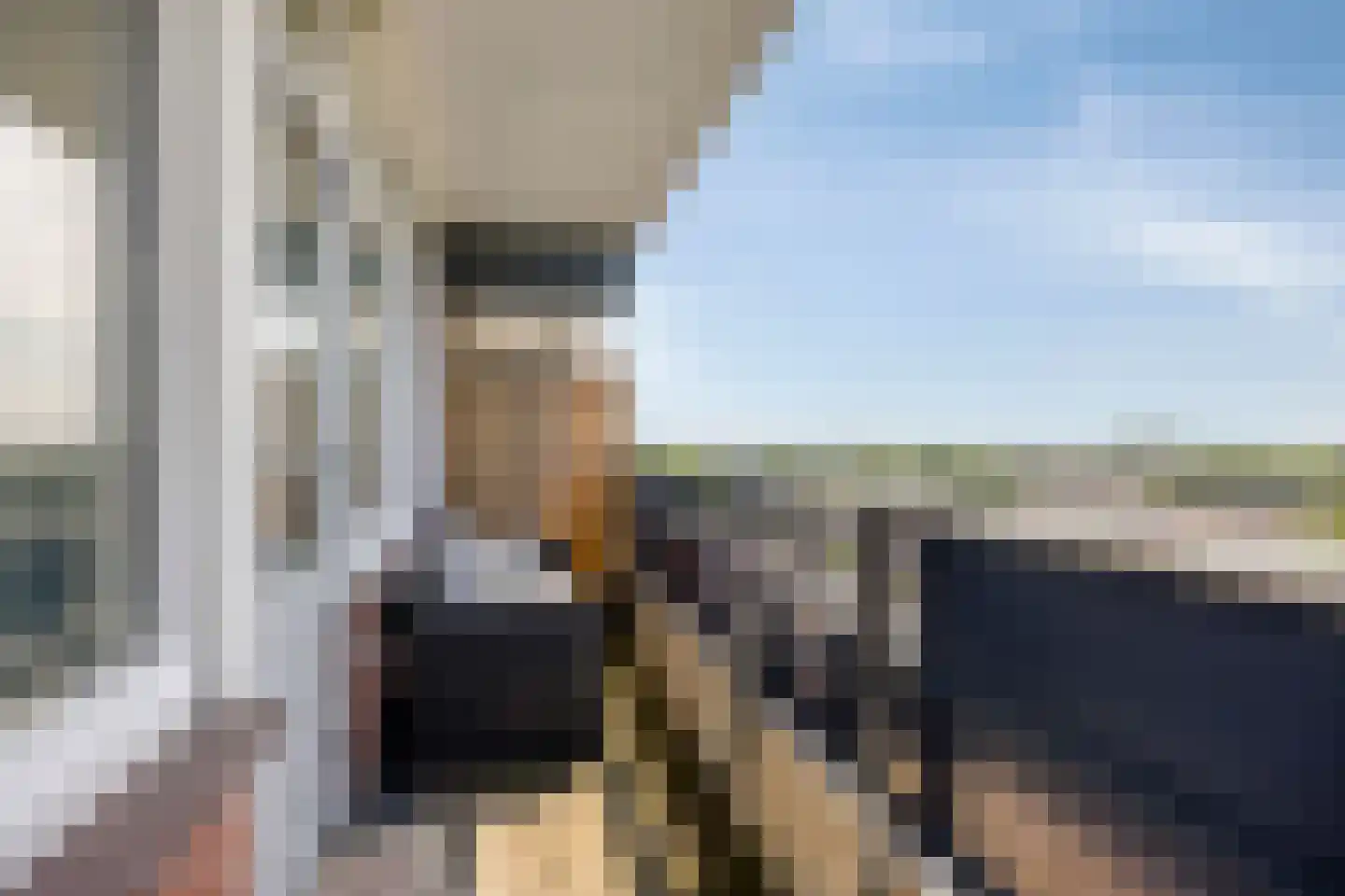 Scheerling 221 Kampen thumbnail 20