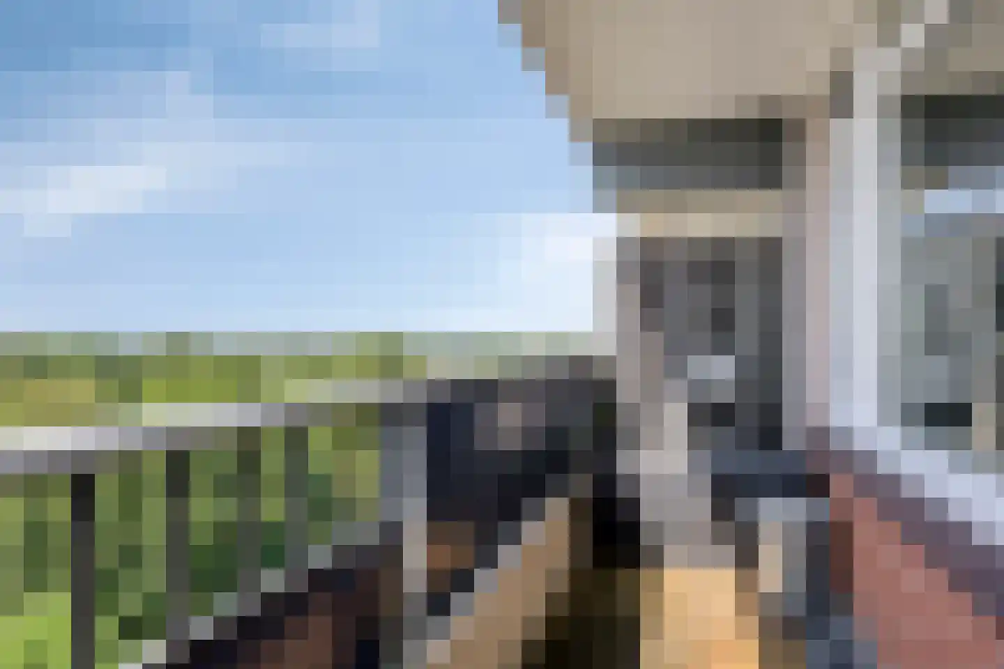 Scheerling 221 Kampen thumbnail 22