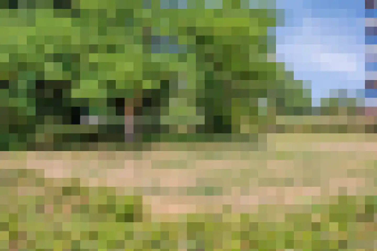 Scheerling 221 Kampen thumbnail 28
