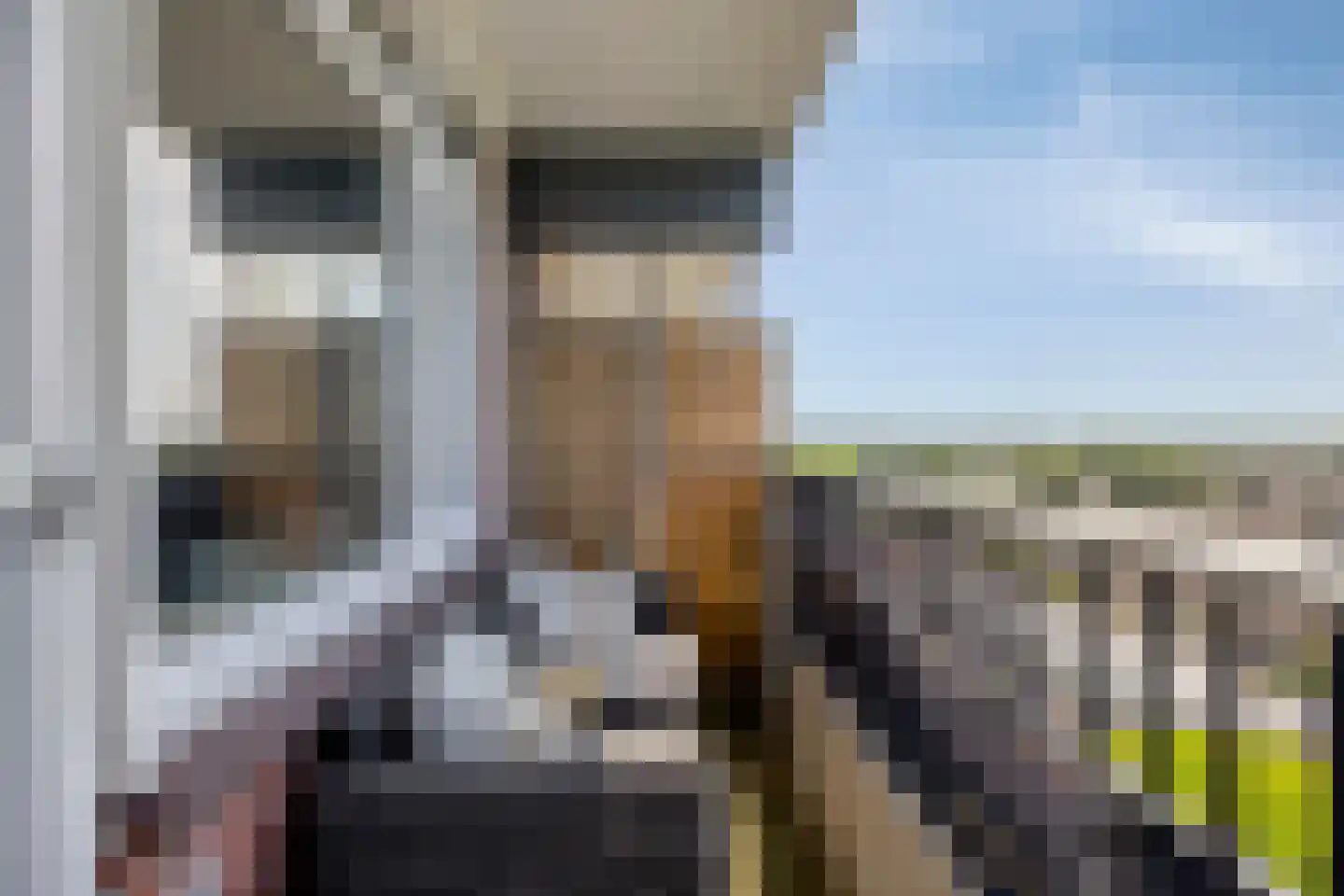 Scheerling 221 Kampen thumbnail 5