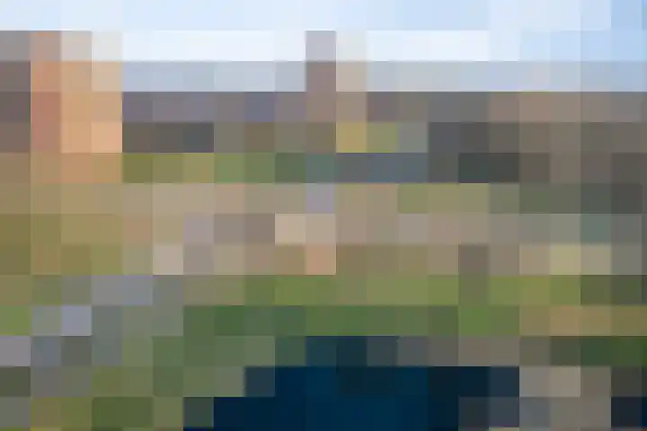 Scheerling 229 Kampen thumbnail 24