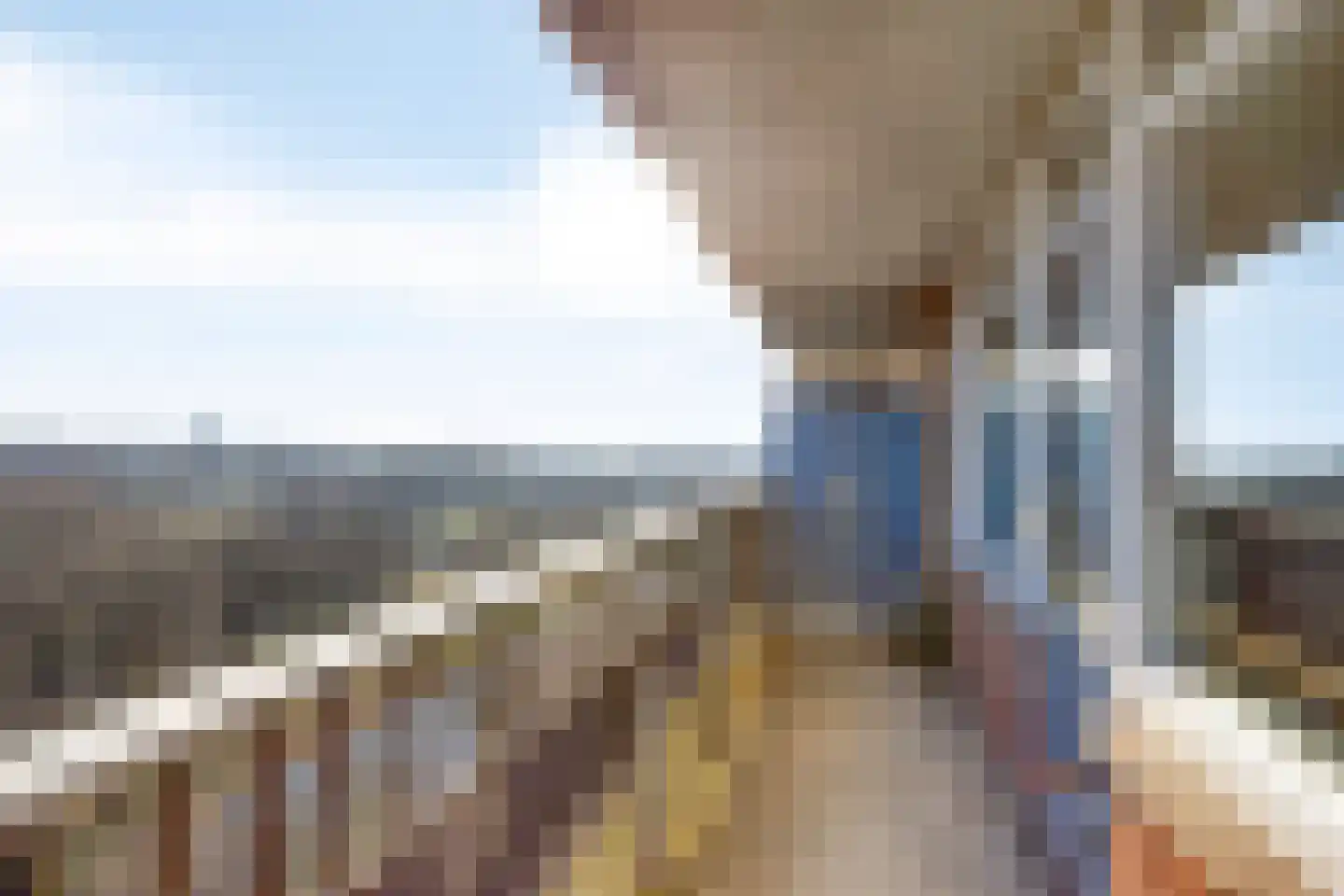 Scheerling 229 Kampen thumbnail 25