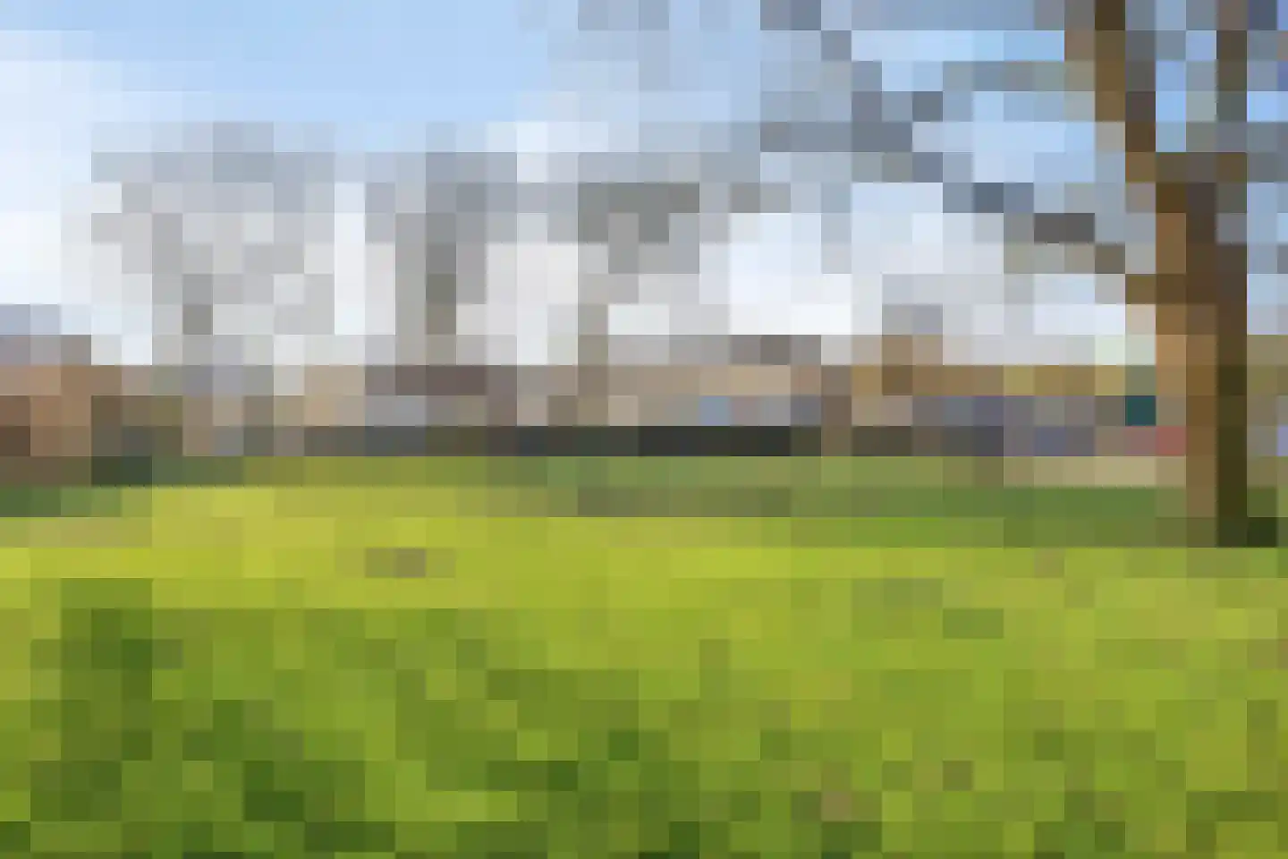 Scheerling 229 Kampen thumbnail 31