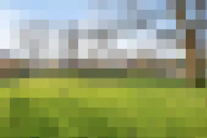 Scheerling 229 Kampen thumbnail 31
