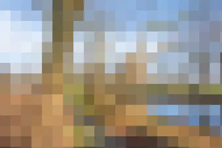 Scheerling 229 Kampen thumbnail 32