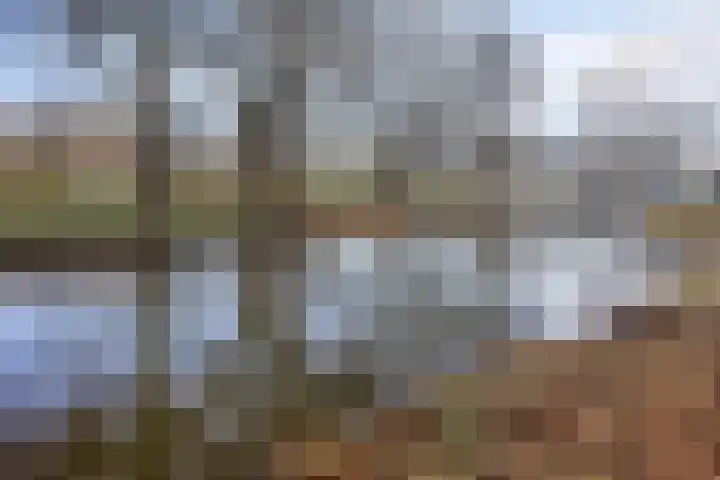 Scheerling 229 Kampen thumbnail 33