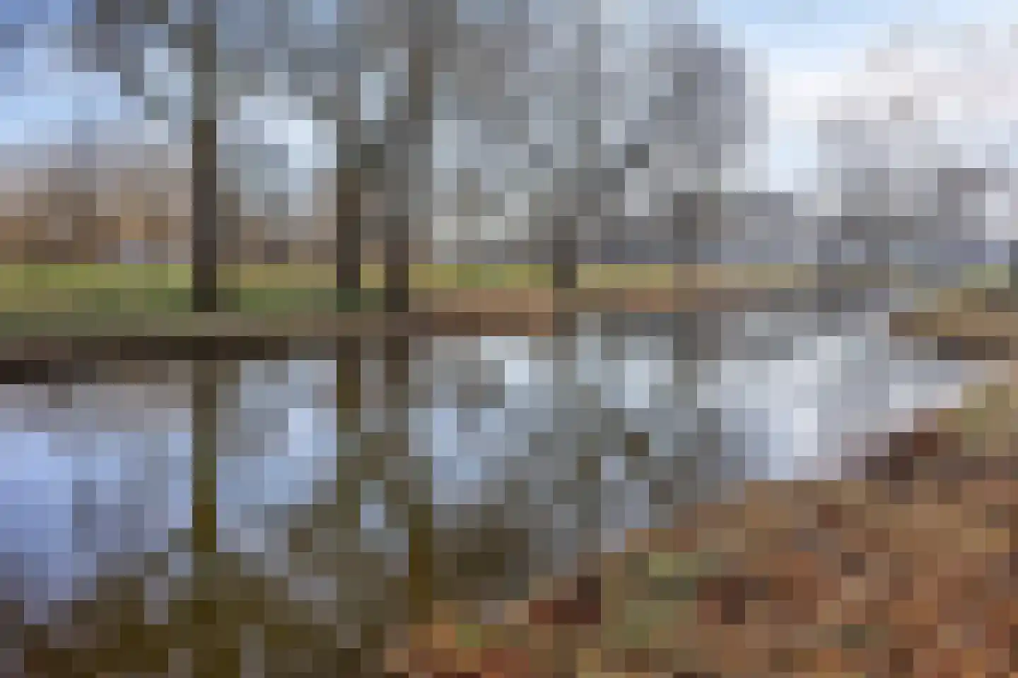 Scheerling 229 Kampen thumbnail 33