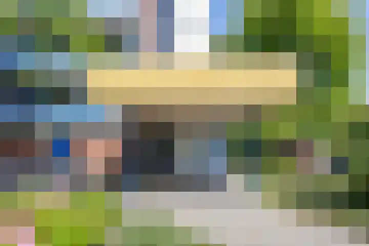 Scheerling 229 Kampen thumbnail 7