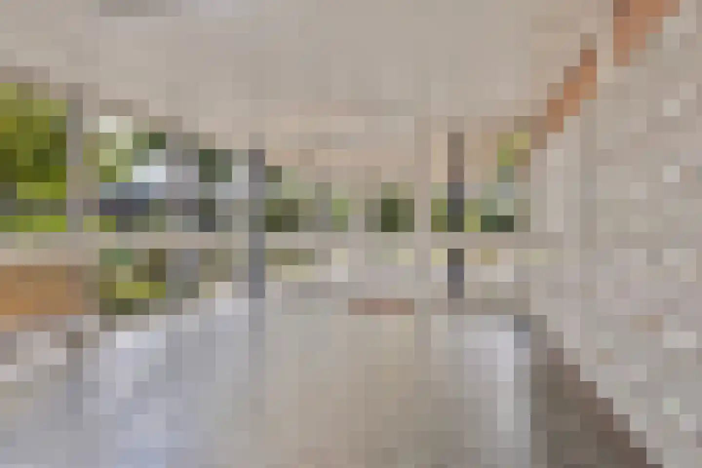 Scheerling 229 Kampen thumbnail 8