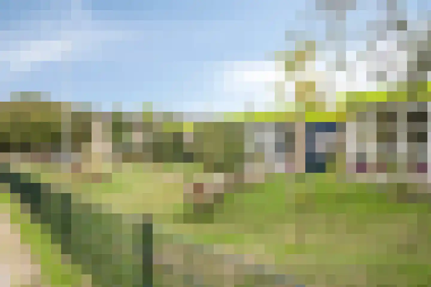 Scheerling 32 Kampen thumbnail 40