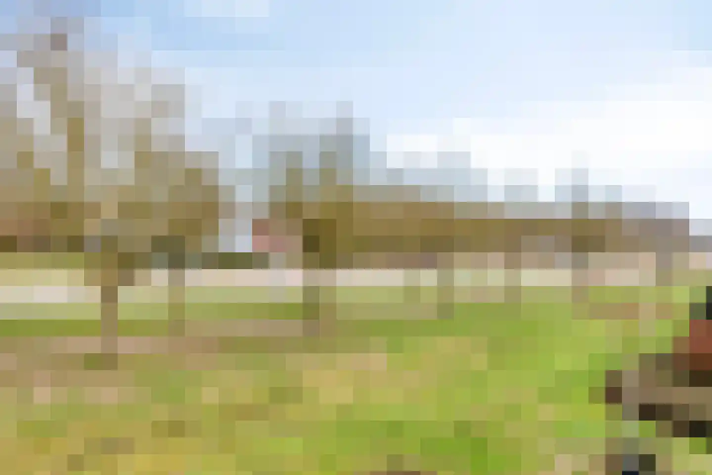 Scheerling 46 Grave thumbnail 35
