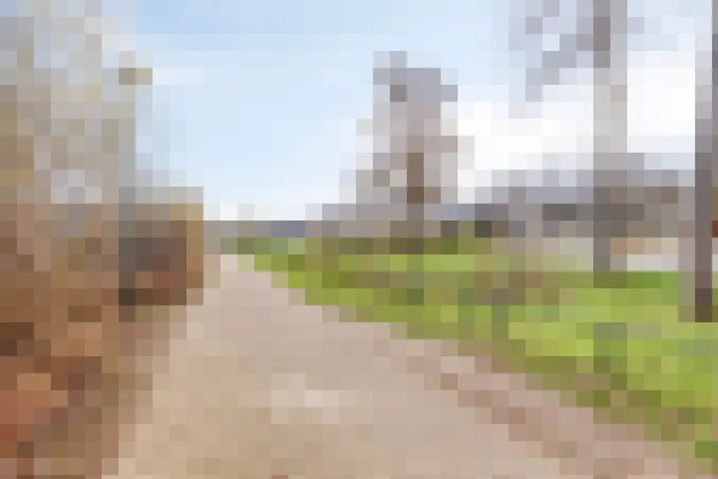 Scheerling 46 Grave thumbnail 39