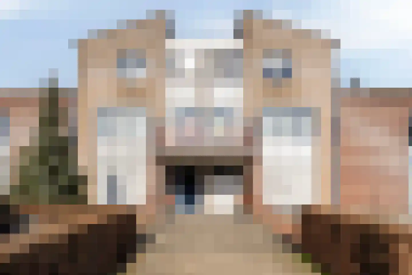Scheerling 46 Grave thumbnail 6