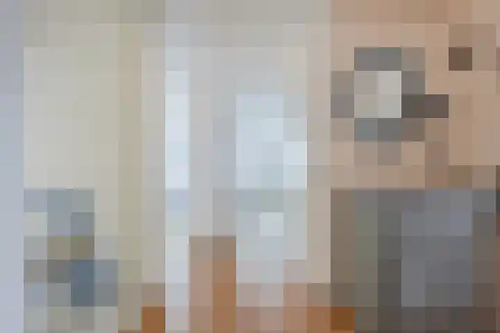 Scheerling 50 Grave thumbnail 12