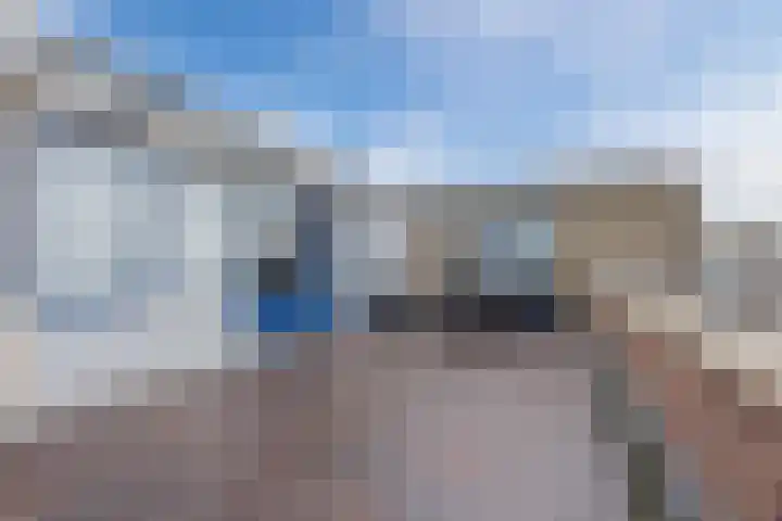 Scheerling 50 Grave thumbnail 15