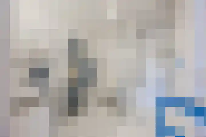 Scheerling 50 Grave thumbnail 17