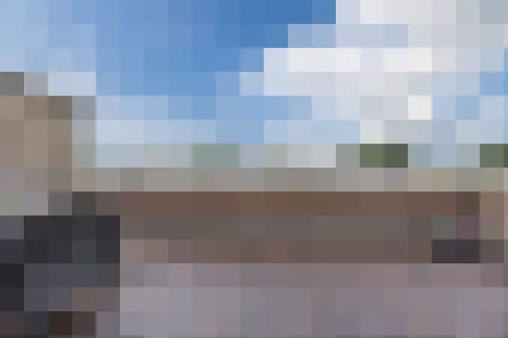 Scheerling 50 Grave thumbnail 19