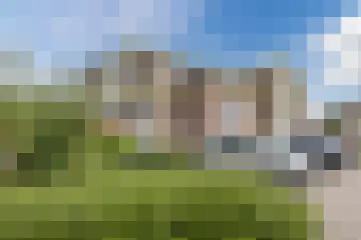 Scheerling 50 Grave thumbnail 20