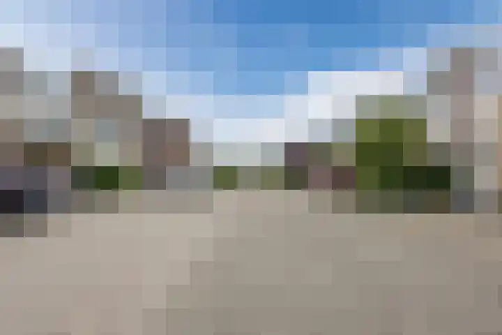 Scheerling 50 Grave thumbnail 24