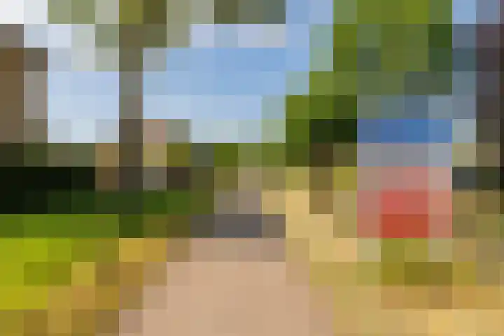 Scheerling 50 Grave thumbnail 25