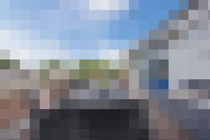 Scheerling 50 Grave thumbnail 4