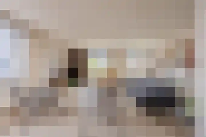 Scheerling 50 Grave thumbnail 6
