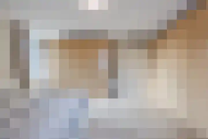 Scheerling 78 Grave thumbnail 10