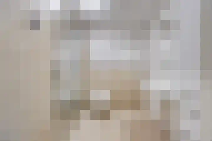 Scheerling 78 Grave thumbnail 13