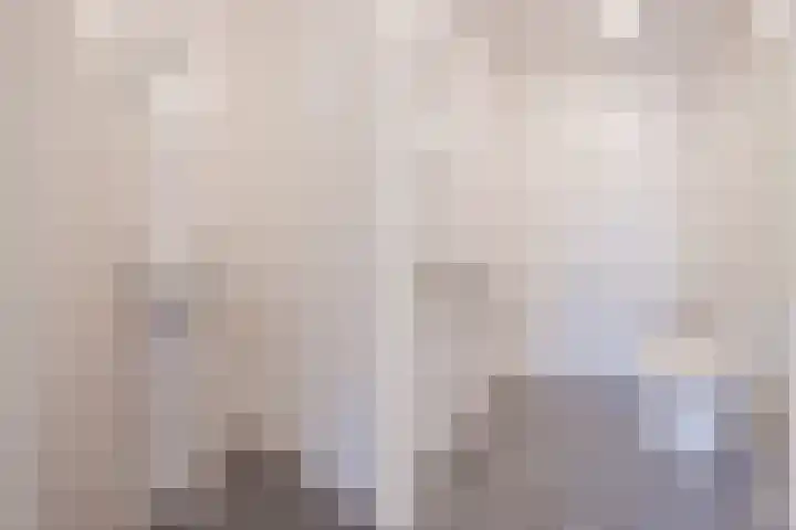 Scheerling 78 Grave thumbnail 16
