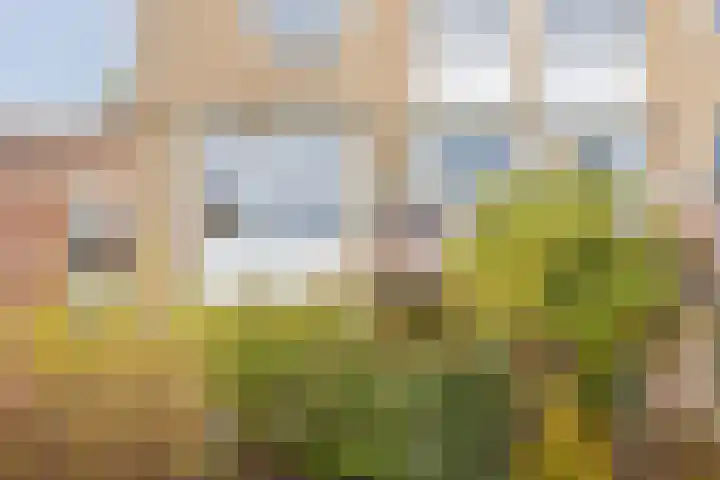 Scheerling 78 Grave thumbnail 19