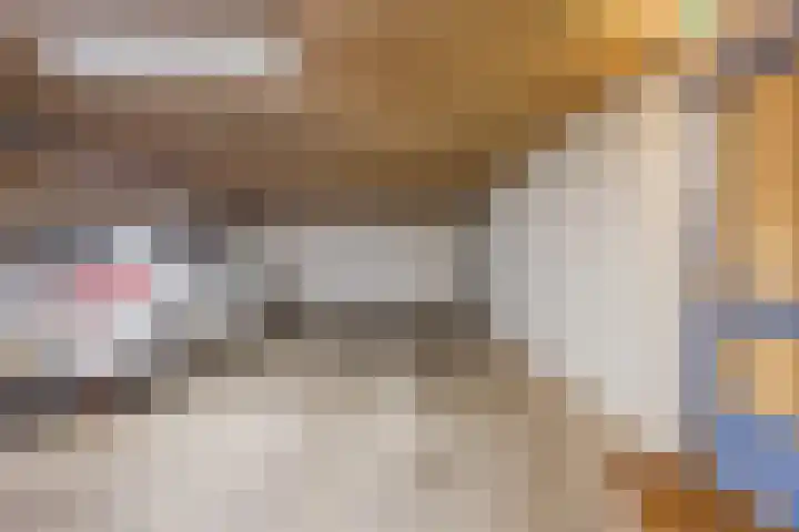 Scheerling 78 Grave thumbnail 22