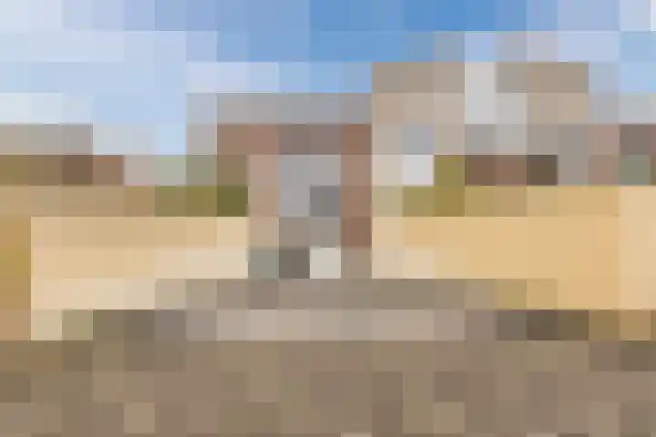 Scheerling 78 Grave thumbnail 23