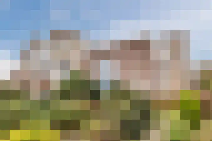 Scheerling 78 Grave thumbnail 26