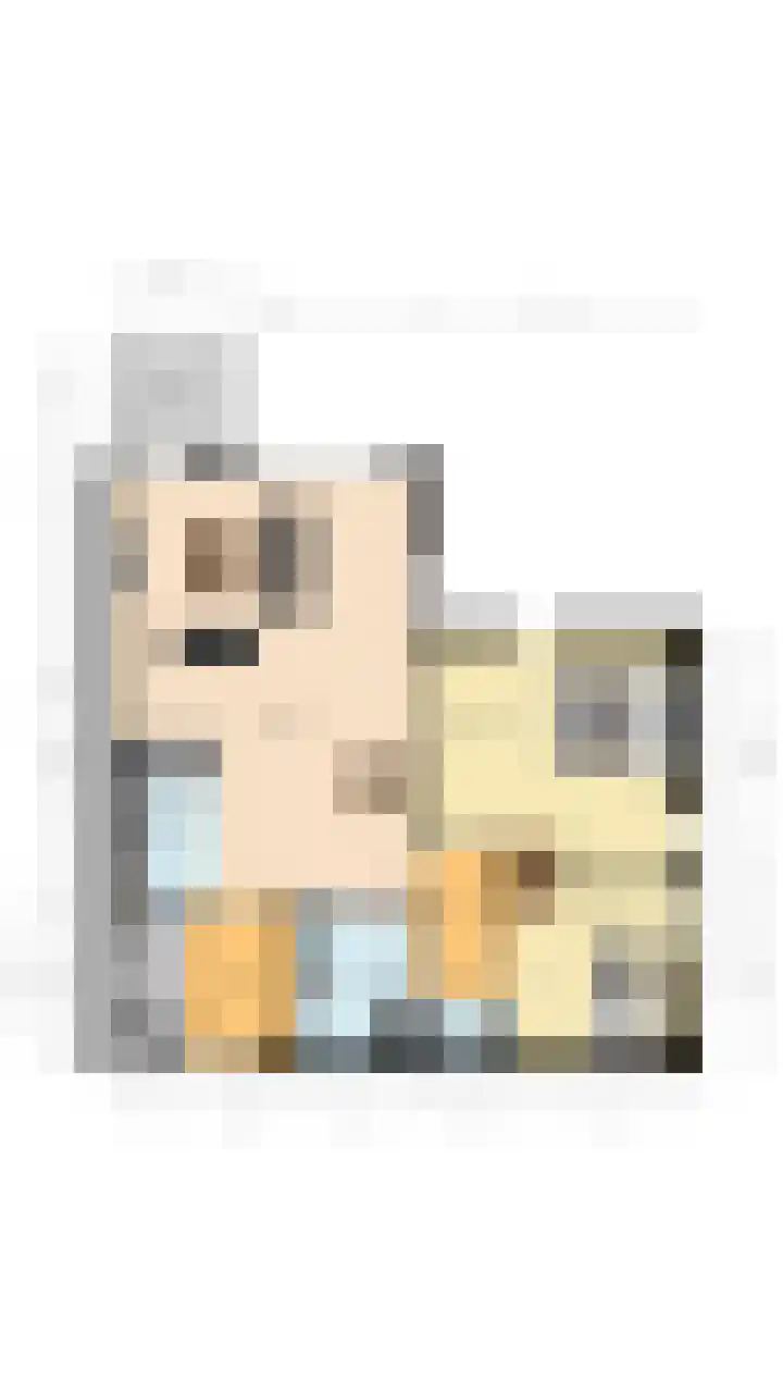 Scheerling 78 Grave thumbnail 30