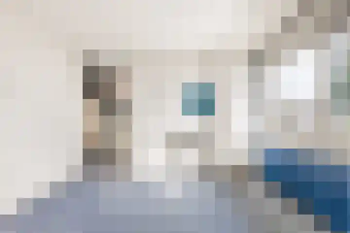Scheerling 8 Castricum thumbnail 23