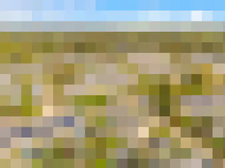 Scheerling 8 Castricum thumbnail 28