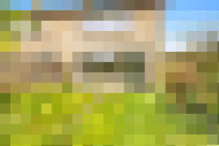 Scheerling 8 Castricum thumbnail 30