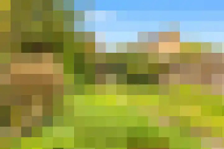 Scheerling 8 Castricum thumbnail 31