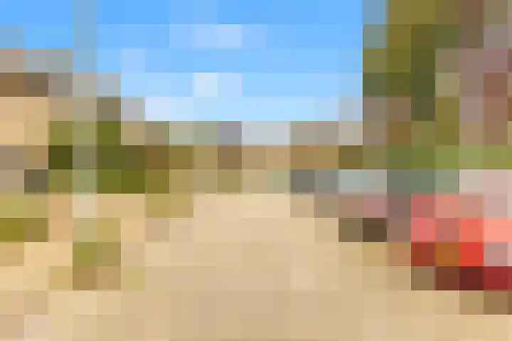 Scheerling 8 Castricum thumbnail 32