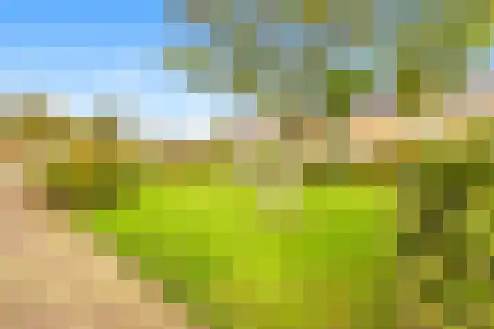 Scheerling 8 Castricum thumbnail 33