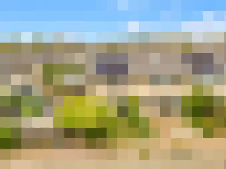 Scheerling 8 Castricum thumbnail 34