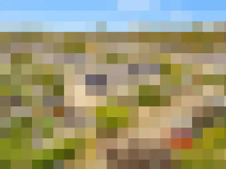 Scheerling 8 Castricum thumbnail 35