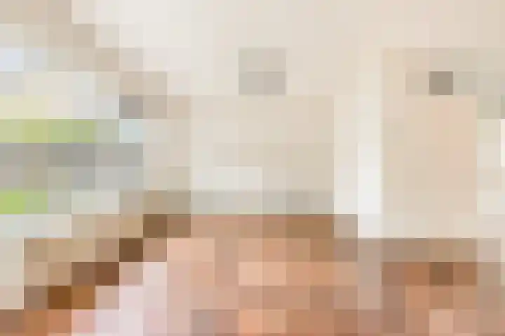 Scheerling 8 Castricum thumbnail 9