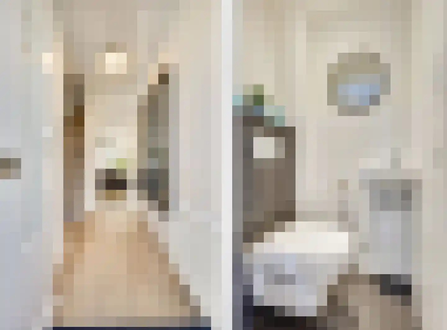 Scheerlingstraat 3 Vught thumbnail 10